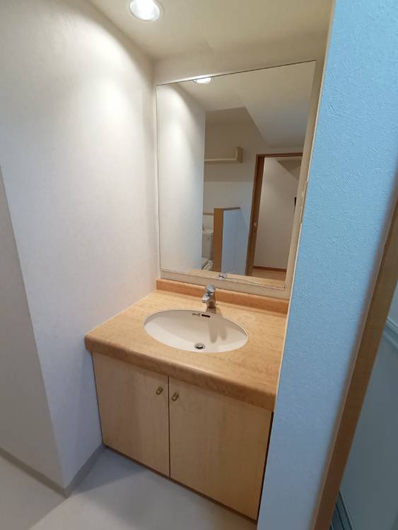 洗面設備　脱衣所内の独立洗面台(左右反転・同一タイプの写真)