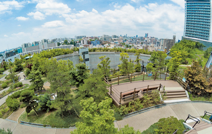 公園　目黒区立目黒天空庭園（公園）まで236m