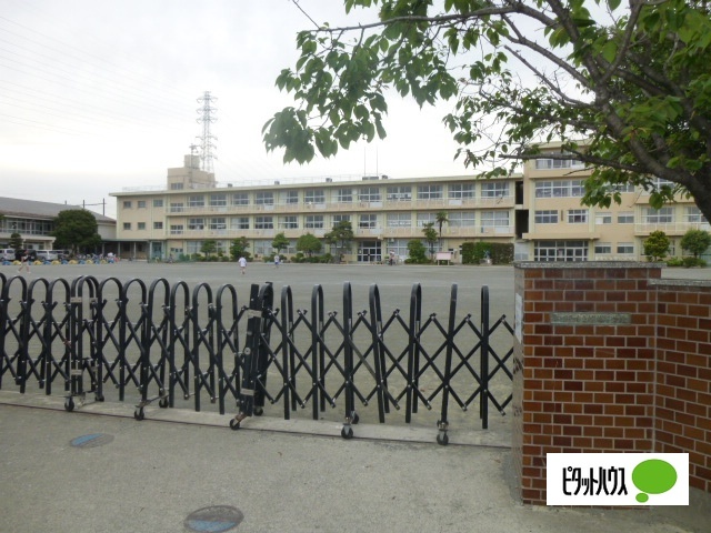 小学校　小田原市立桜井小学校（小学校）まで541m