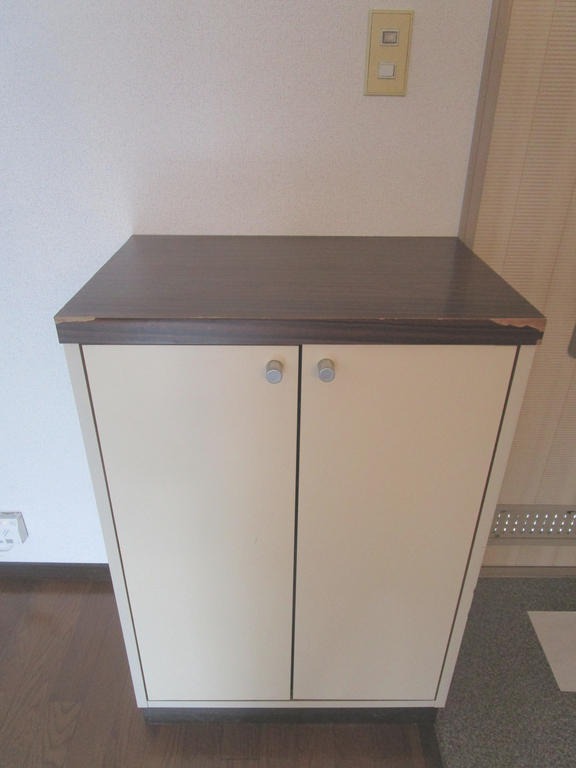 玄関　図面と現状に相違がある場合には現状を優先