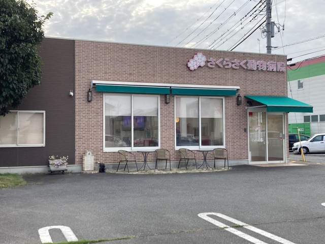 病院　さくらさく動物病院（病院）まで511m