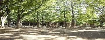 公園　西永福公園（公園）まで234m