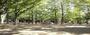 公園　西永福公園（公園）まで234m
