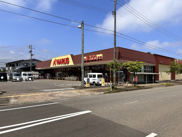 スーパー　ナルス鴨島店（スーパー）まで1470m