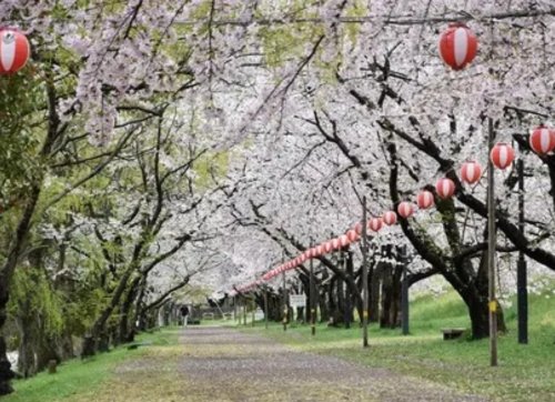 公園　酒津公園（公園）まで824m