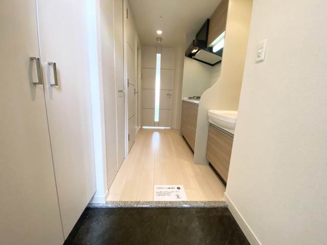 プレサンス堺筋本町フィリアの玄関写真