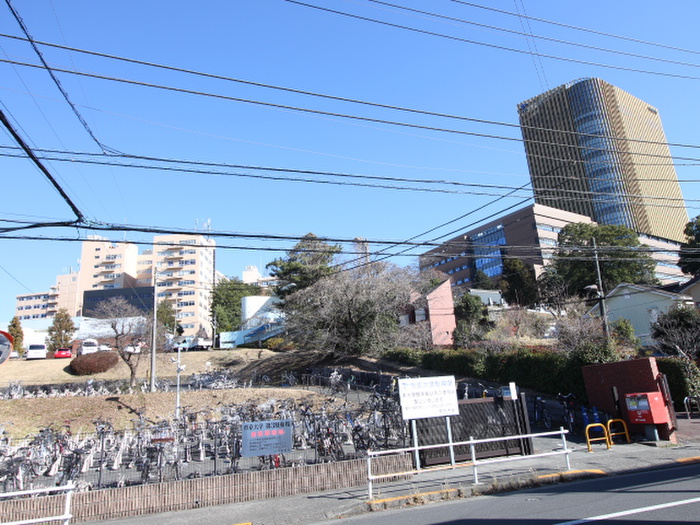大学・短大　帝京大学八王子キャンパス（大学・短大）まで1100m