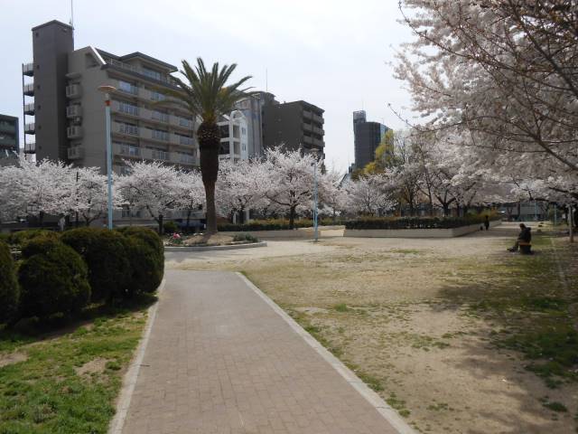 公園　滝川公園（公園）まで66m