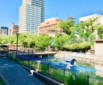 公園　木場親水公園（公園）まで596m