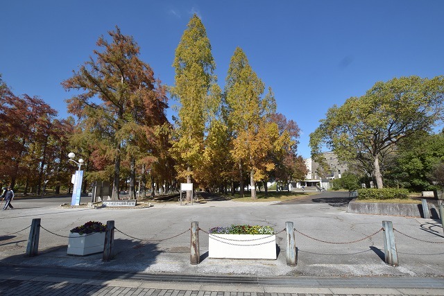 公園　花博記念公園鶴見緑地（公園）まで1235m