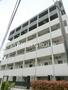 8 5階 築13年8ヶ月の賃貸物件
