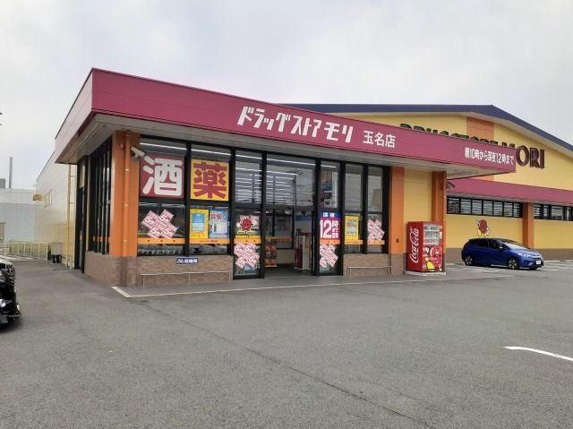 ドラックストア　ドラッグストアモリ玉名店（ドラッグストア）まで1100m