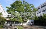 中学校　草津市立草津中学校（中学校）まで735m