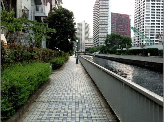 公園　新芝運河沿緑地（公園）まで1030m
