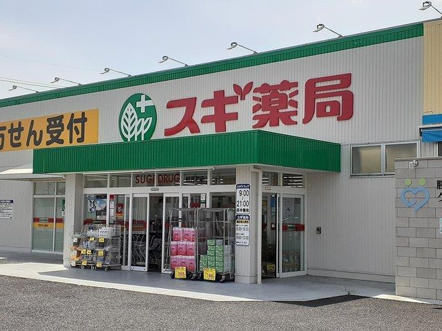 ドラックストア　スギドラッグ 松河戸店（ドラッグストア）まで1200m