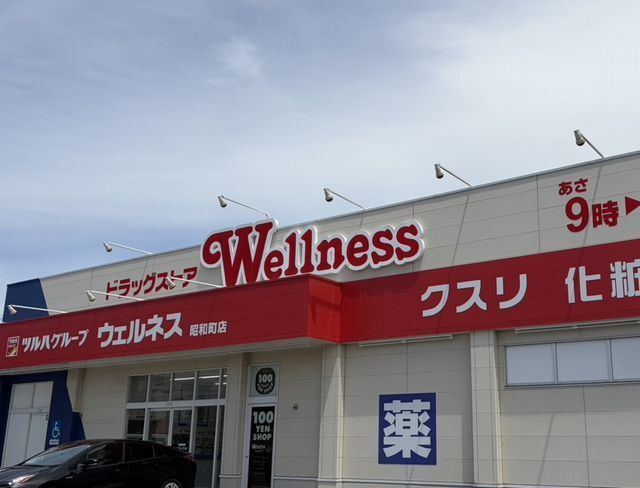 ドラックストア　ウェルネス 昭和町店（ドラッグストア）まで700m