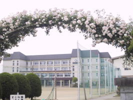 中学校　仙北中学校（中学校）まで597m