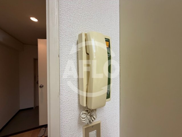 セキュリティ　メロディーハイム平野町　インターホン