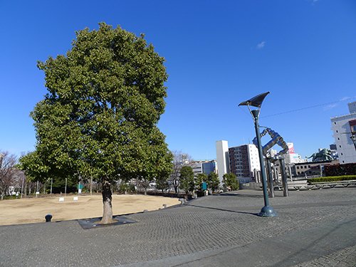 公園　川口西公園（公園）まで259m