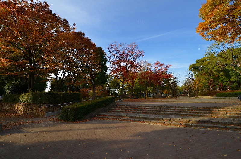 公園　猪名川公園（公園）まで261m