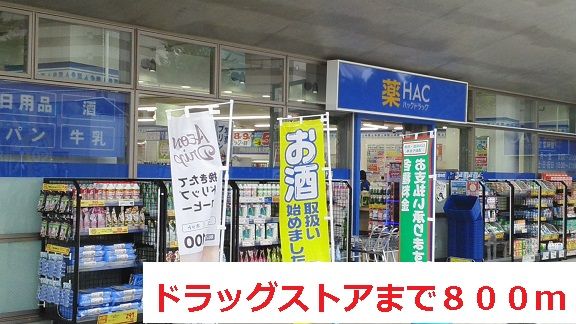 ドラックストア　ドラッグストア（ドラッグストア）まで800m