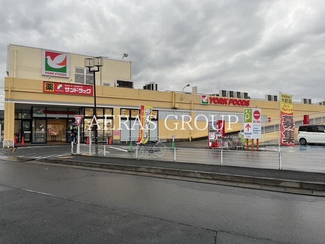ドラックストア　サンドラッグ 東岩槻店（ドラッグストア）まで770m