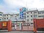 幼稚園・保育園　金子ベビーホーム（幼稚園・保育園）まで475m