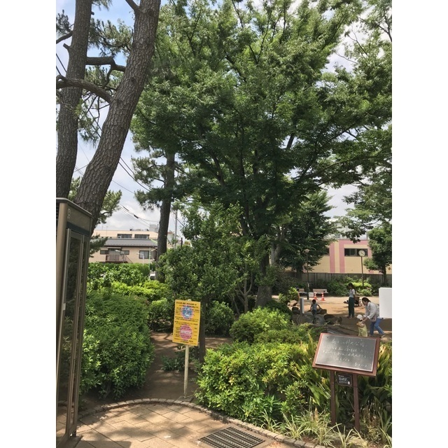 公園　世田谷新町公園（５４７ｍ）（公園）まで547m