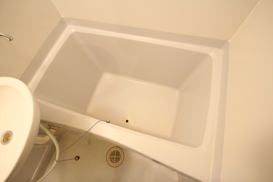 バス・シャワールーム　※別部屋の写真です