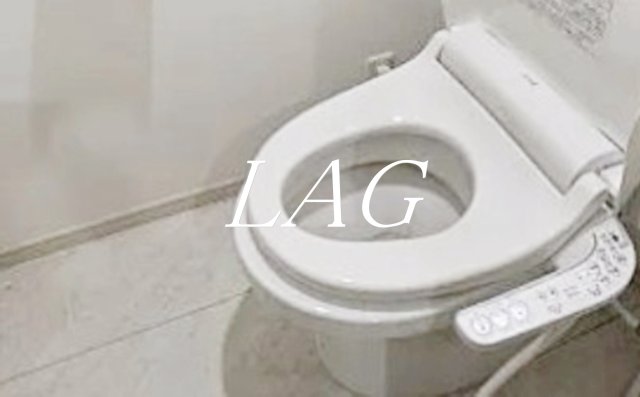 トイレ　トイレです。（同仕様です。）