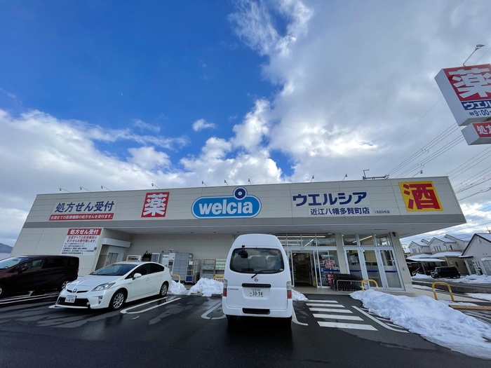 ドラックストア　ウエルシア多賀町店（ドラッグストア）まで1400m