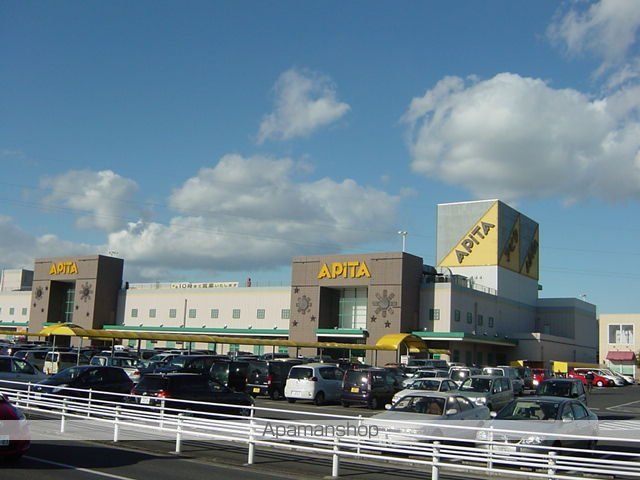 その他　アピタ（その他）まで1300m