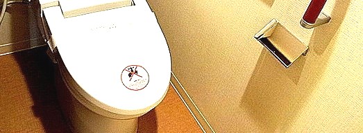 トイレ　リノベーション前写真
