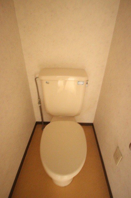 トイレ　同物件別号室のものです。