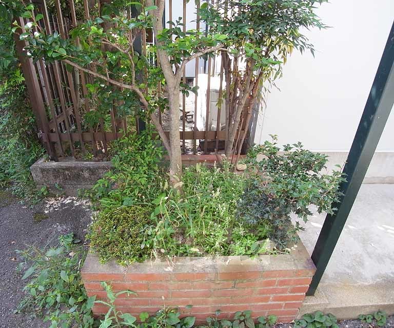 庭