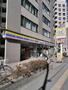 コンビニ　ミニストップ東向島5丁目店（コンビニ）まで289m