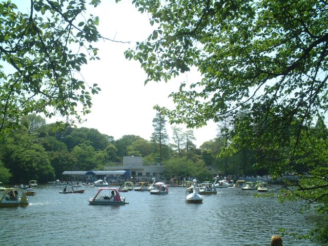 【緑樹館の公園】