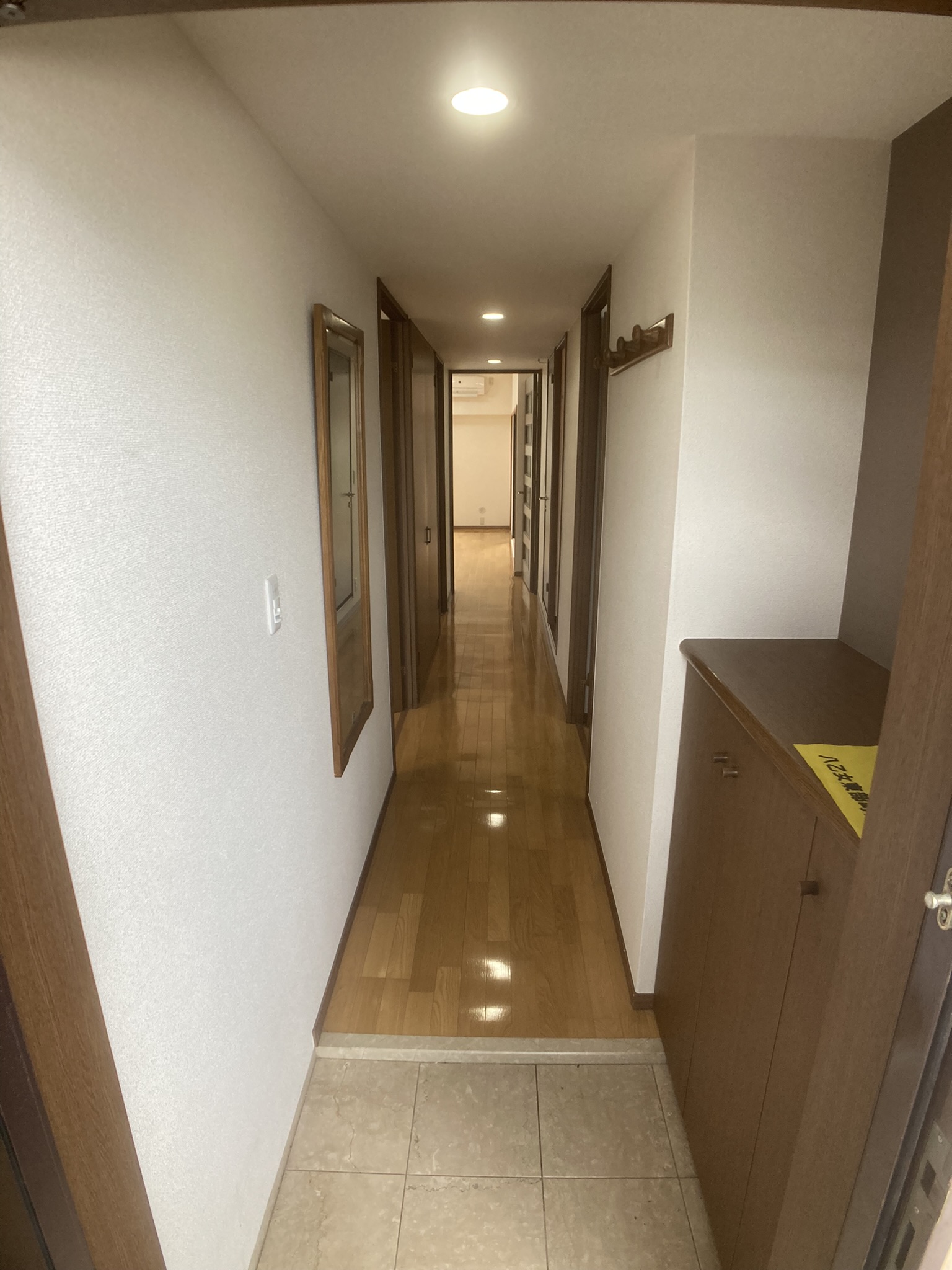 玄関　下駄箱あります