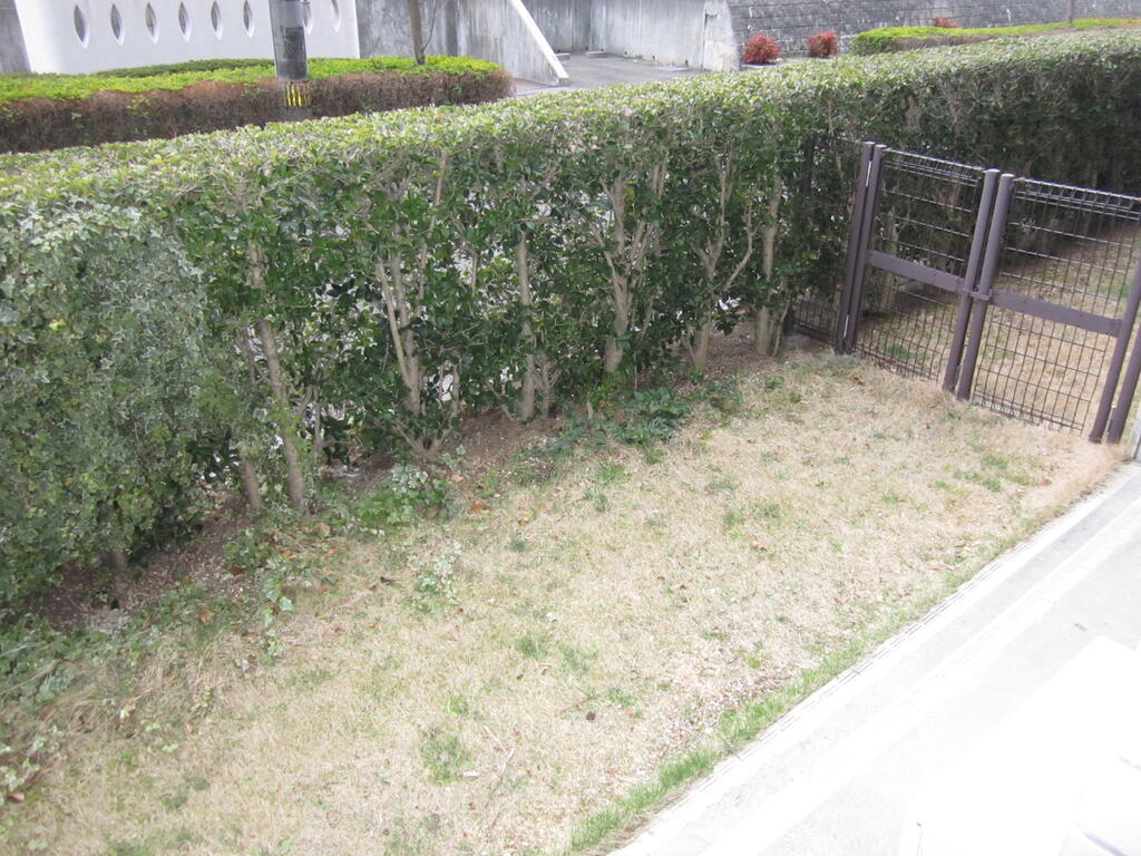 庭　専用庭