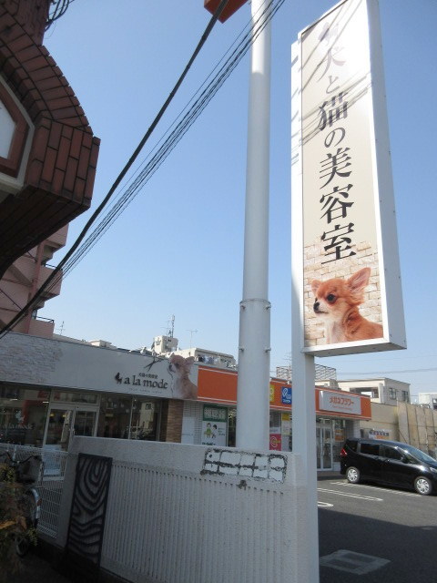 その他　ペッツワン 草加松原団地店（その他）まで6327m