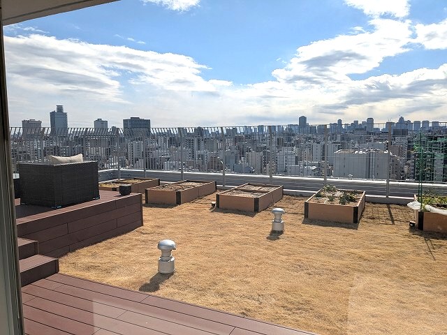 眺望　屋上庭園