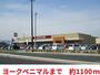 スーパー　ヨークベニマル（スーパー）まで1100m