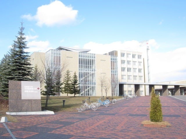 大学・短大　私立日本赤十字北海道看護大学（大学・短大）まで812m