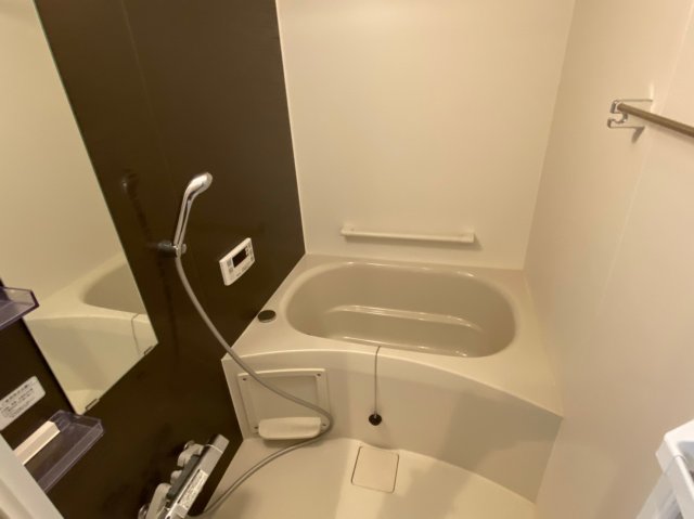 バス・シャワールーム　602号室の写真です