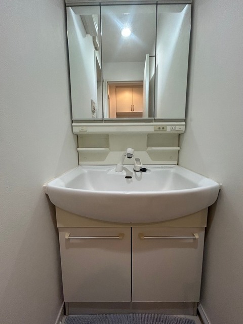 洗面設備　＊入居中の写真のため家具・家電・備品等は撤去いたします。