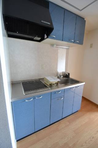 キッチン　IH２口システムです