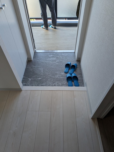 玄関　※同物件・反転タイプの写真です。