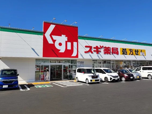 ドラックストア　スギ薬局 浜松北店（ドラッグストア）まで617m