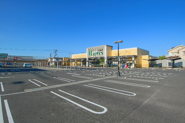 スーパー　天満屋ハピーズ国府市場店（スーパー）まで236m