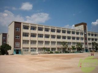 小学校　神戸市立東落合小学校（小学校）まで260m